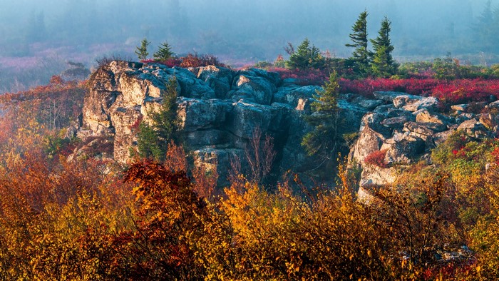 Autumn Crag with Colorful Trees and Fog