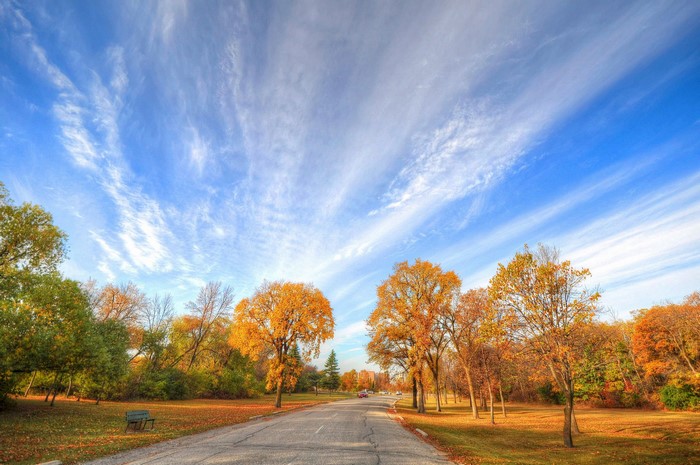 Autumn road through a park with colorful trees