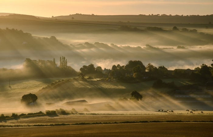 Misty valley with sun rays over fields and trees