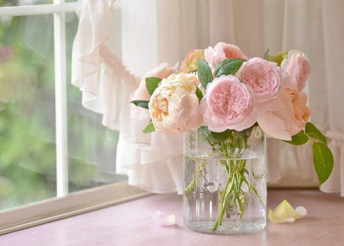 Roses in a vase by the window