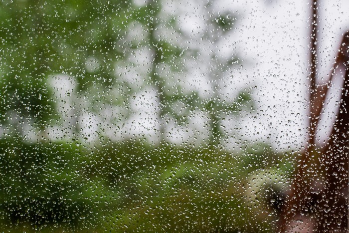 Rain drops on glass with blurred green trees