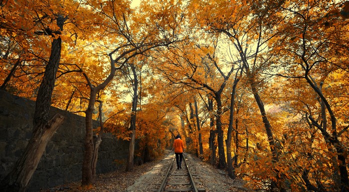 Person walking on railroad tracks surrounded by autumn trees