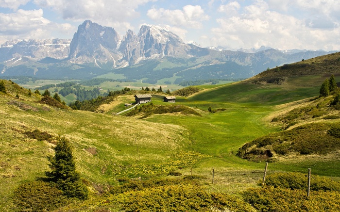 Mountain landscape with chalets and green meadows