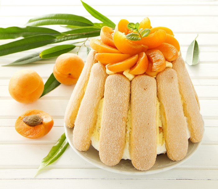 Apricot charlotte cake with ladyfingers and mint