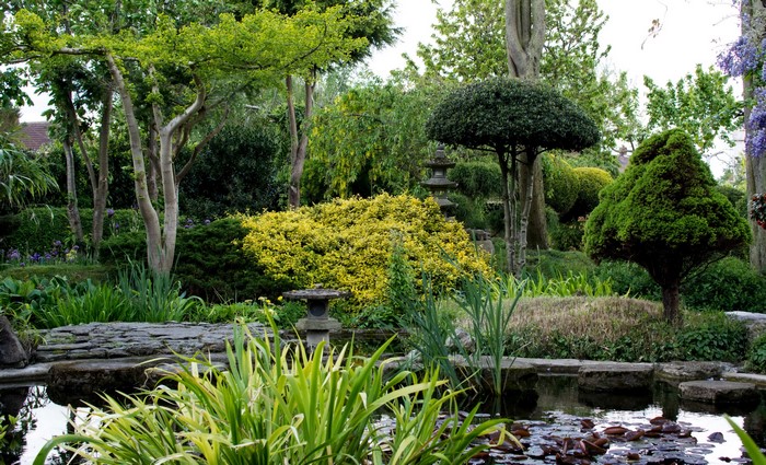 Japanese Garden with Pond and Topiary Trees