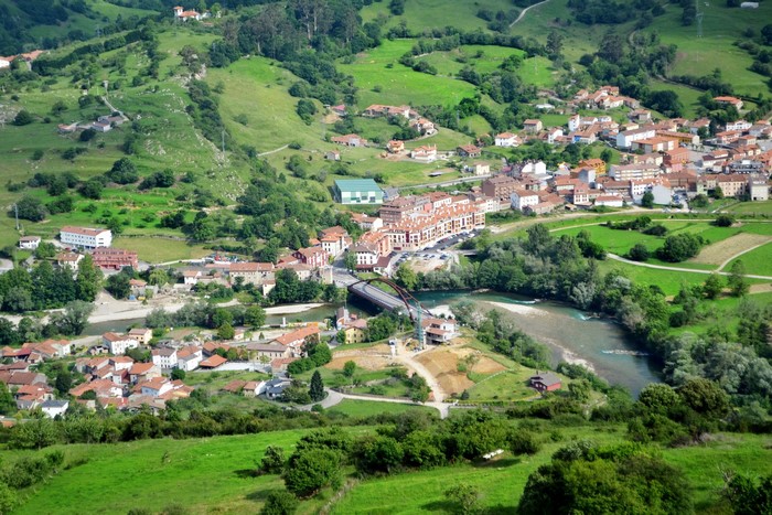 Aerial view of a town with houses and a river
