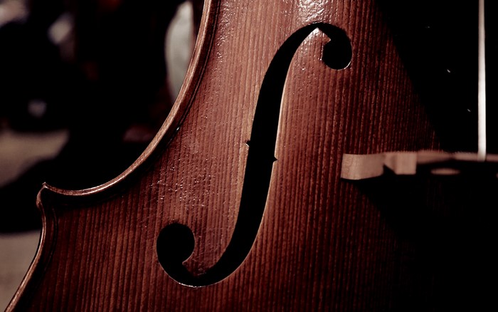 Close-up of a cello's f-hole and bridge