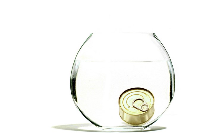 Tin can submerged in water inside a glass bowl