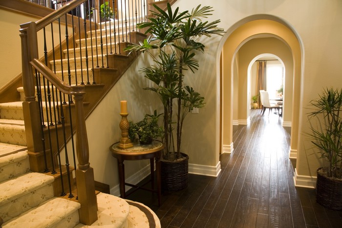 Interior design with stairs and palm plants