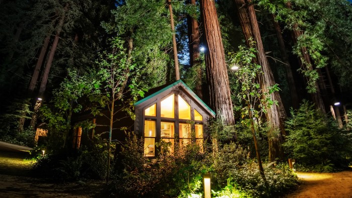 A cabin at night in a redwood forest