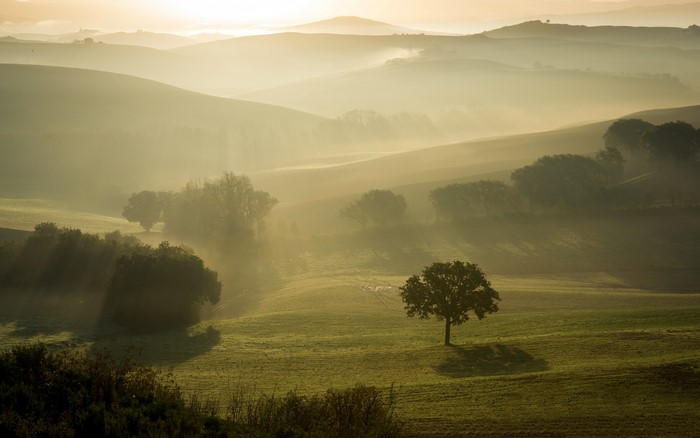 Rolling hills with fog and sun rays