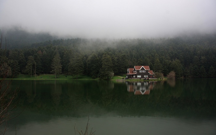 House by a lake in a foggy forest
