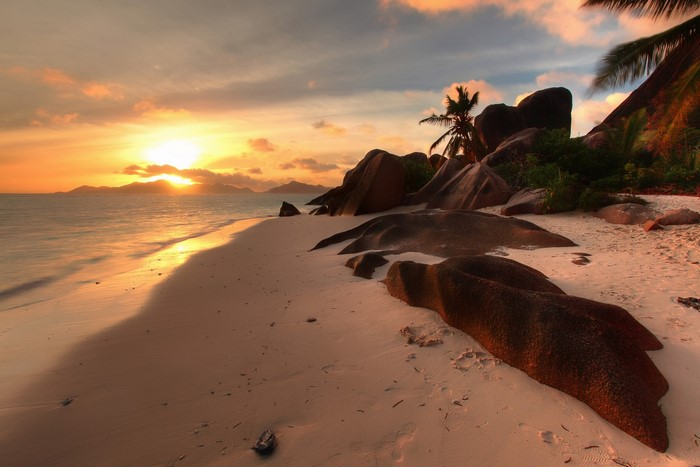 Sunset over a tropical beach with palm trees and rocks