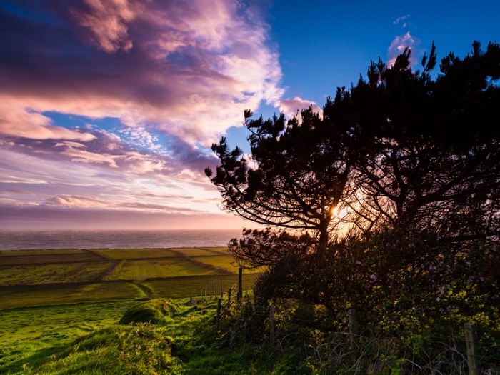 Sunset over fields with trees and clouds