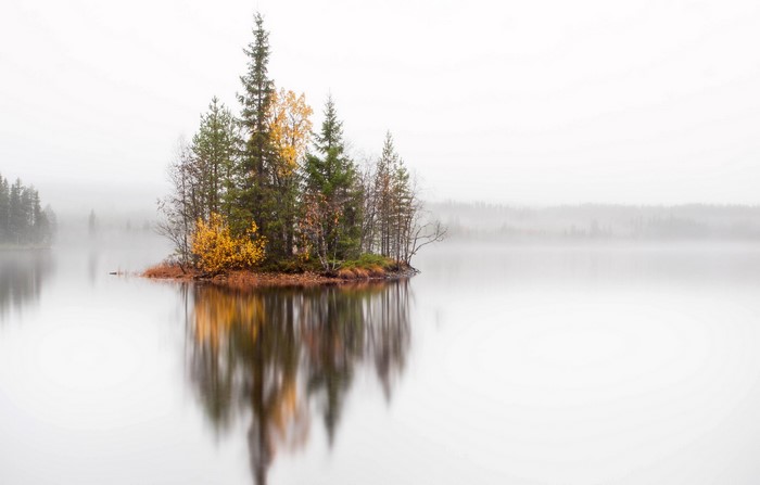 Island with autumn trees in fog on a lake