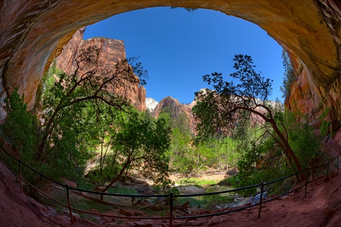 View from a cave in Zion National Park with red rock formations and trees