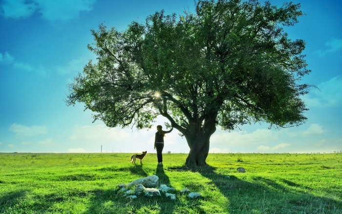 Person and dog under a large tree in a grassy field