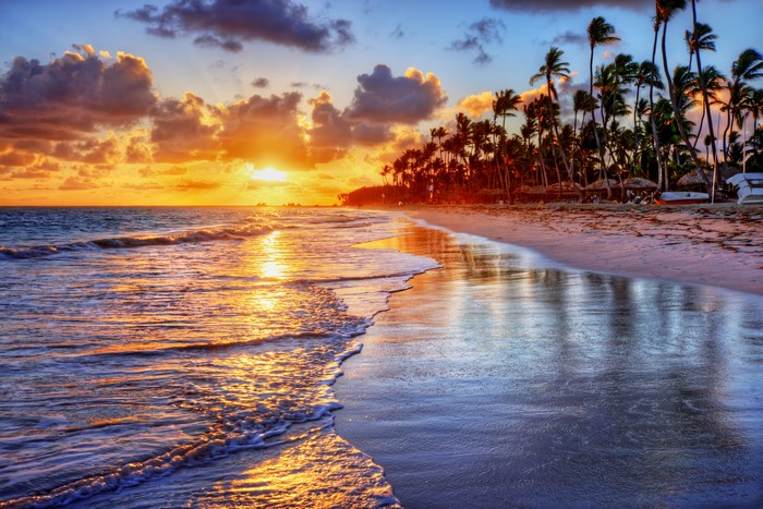 Sunrise over a tropical beach with palm trees