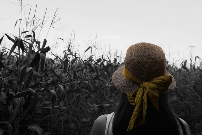 Woman wearing a hat in a cornfield