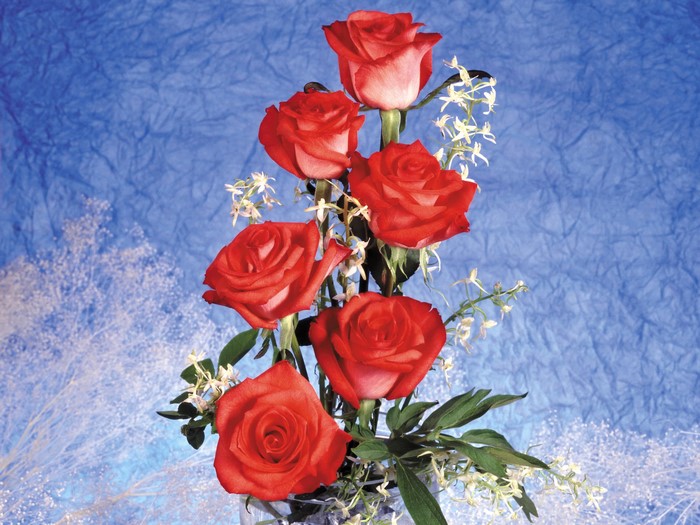 Red Roses with White Flowers