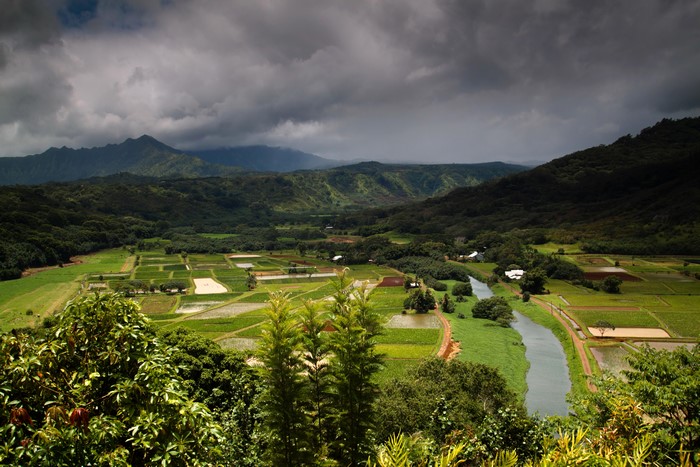 Hanalei Valley with mountains and river, Hawaii