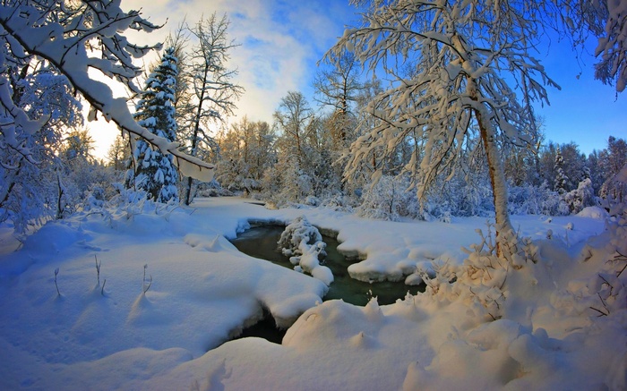 Snowy forest with a stream and blue sky