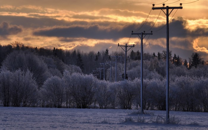 Winter landscape with frosted trees and power lines at sunset