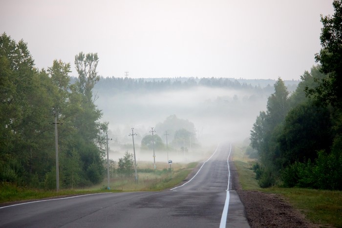Road through foggy landscape with trees and power lines
