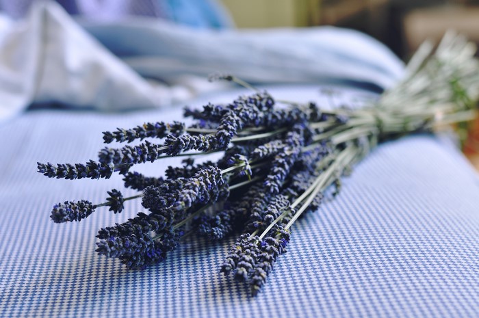 Dried lavender bouquet on blue and white checkered fabric
