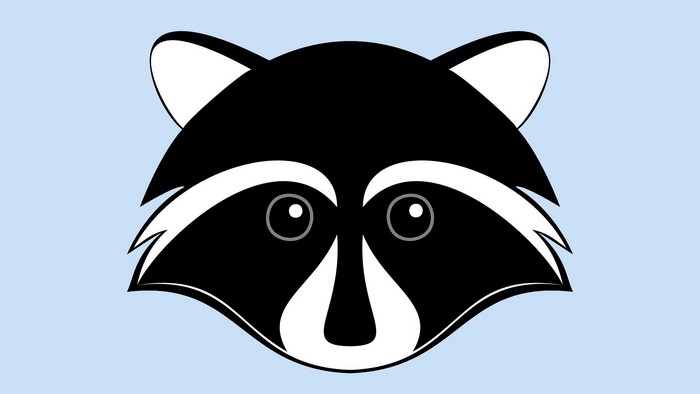 Vector graphic of a raccoon face