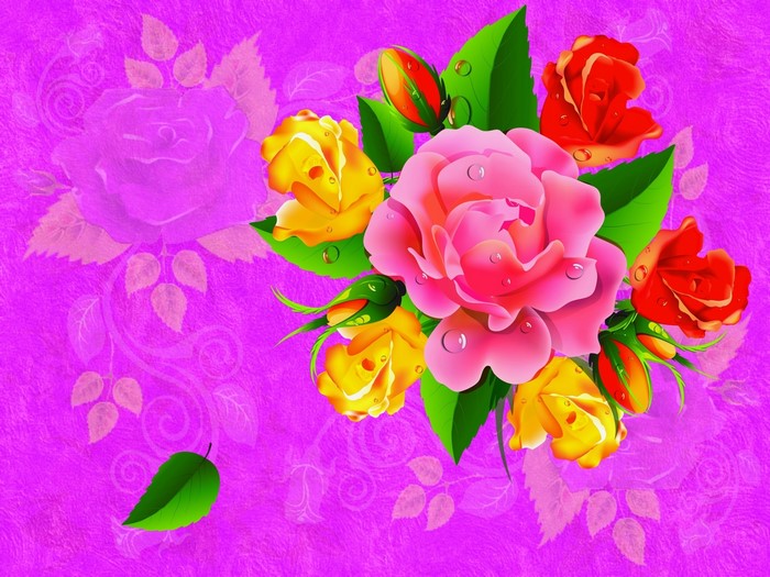 Roses and Rosebuds Bouquet on Pink Background