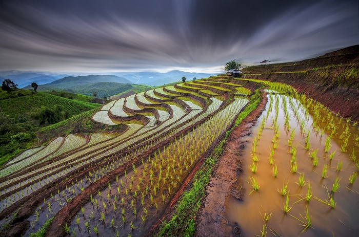 Terraced rice fields in Thailand with dramatic clouds