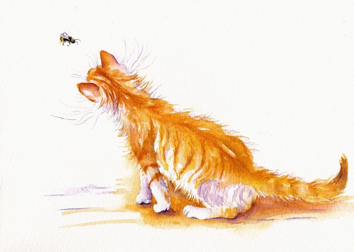 Ginger kitten watching a bee