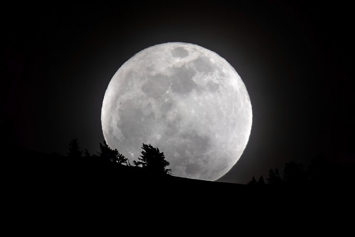 Full Moon over silhouetted trees