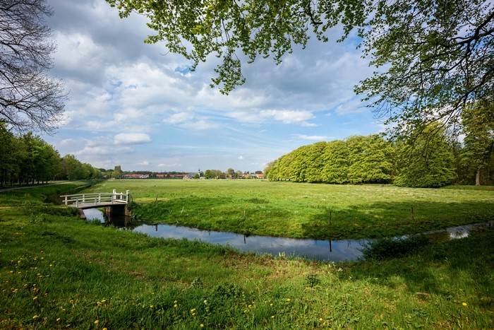 Elswout, Netherlands: Green Field with Bridge and Trees