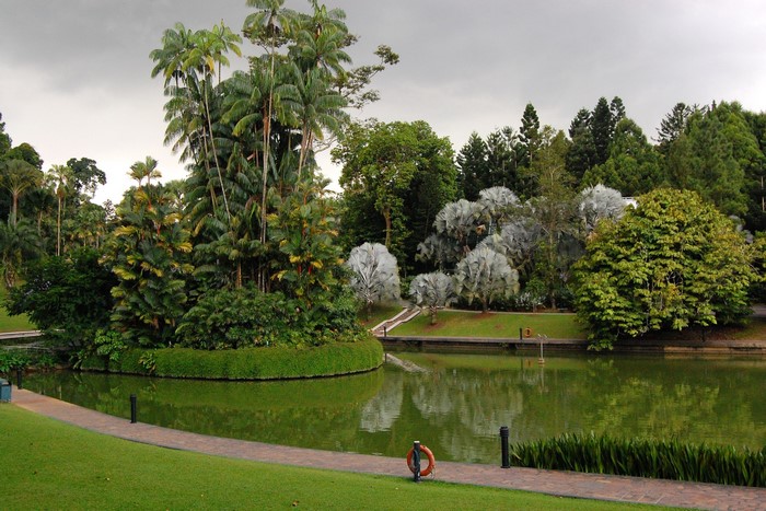 Botanic Gardens Singapore Pond with Palms and Lawn