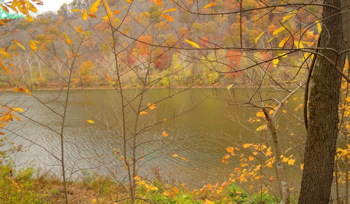 Autumn foliage reflected in a calm river