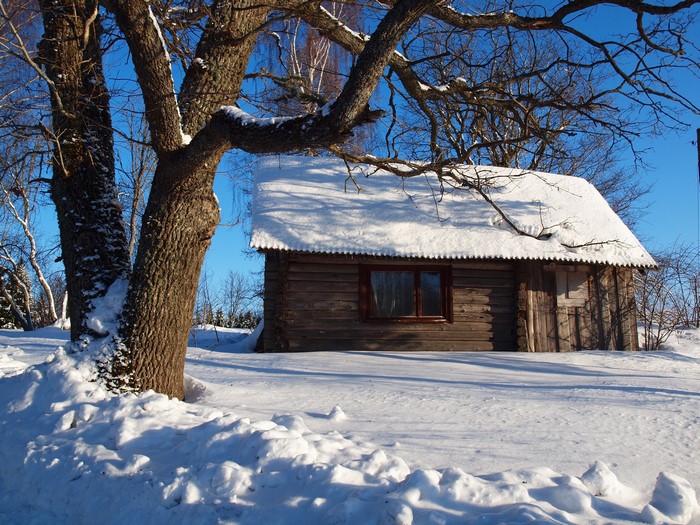 Wooden cabin in the snow with trees