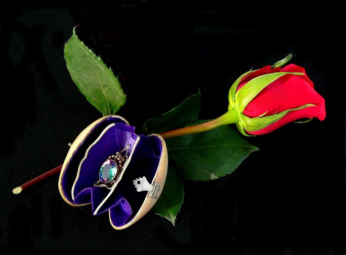 Red rose with open jewelry box and ring