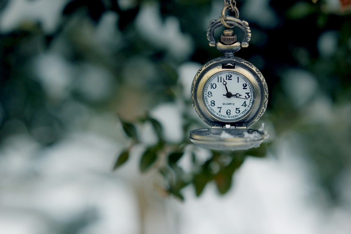 Retro pocket watch hanging on a branch