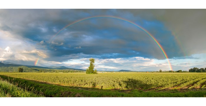 Rainbow over fields in Pitt Meadows, British Columbia, Canada