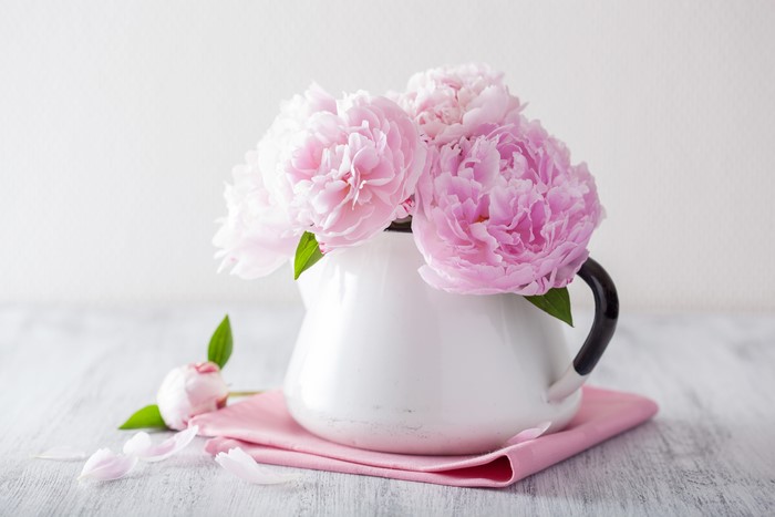 Pink Peonies in a White Vase