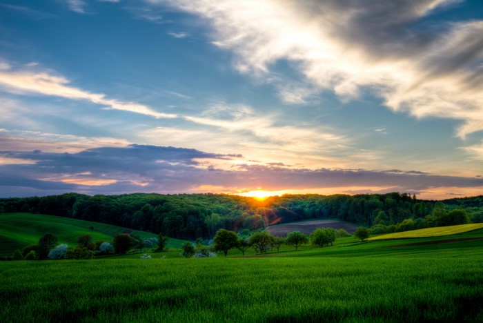 Sunset over green rolling hills and forest