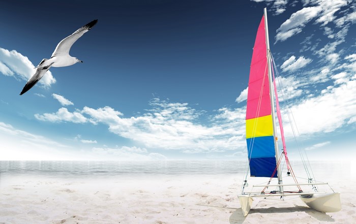 Seagull flying over a beach with a sailboat