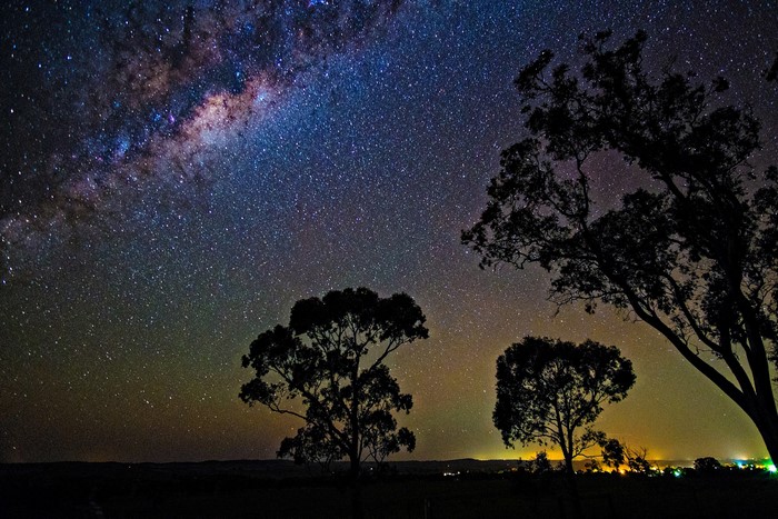 Milky Way over silhouetted trees at night