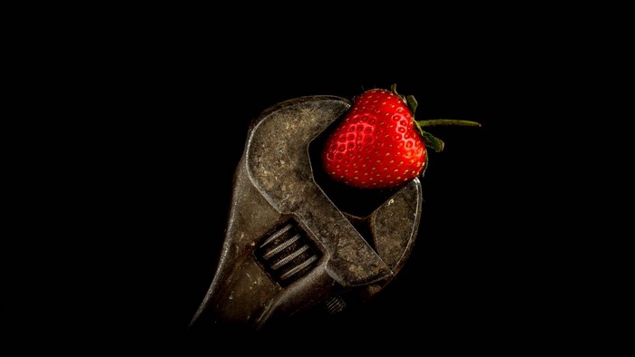 Strawberry held by a rusty adjustable wrench