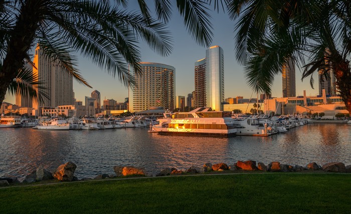 San Diego Marina with Palm Trees and City Skyline