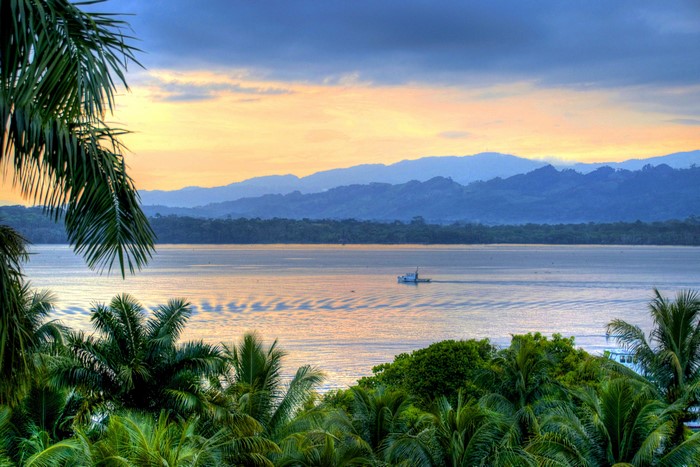 Boat on a river with mountains and palm trees