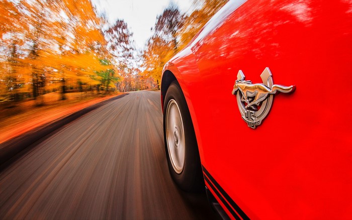 Red Ford Mustang driving on a road in autumn