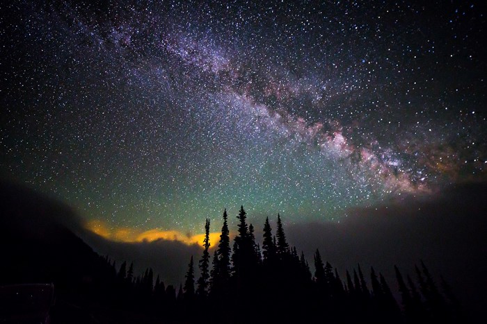 Milky Way over silhouetted pine trees at night